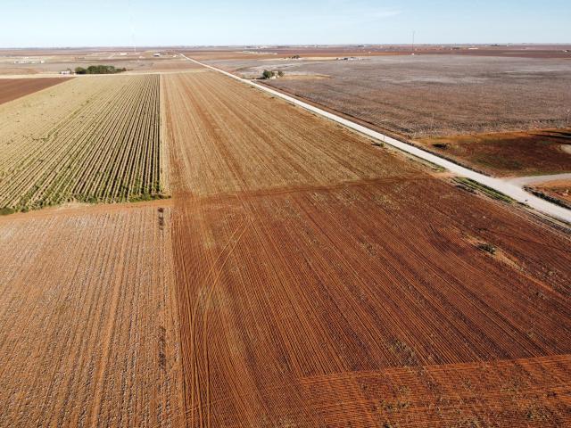 Land for sale in Ropesville, Texas