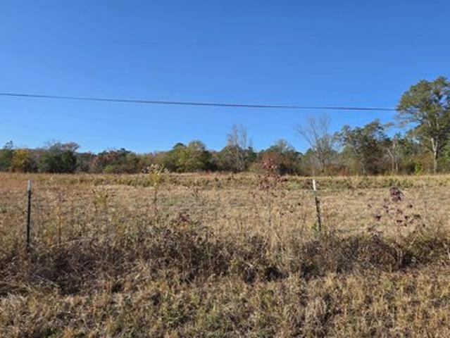 Land for sale in Ohatchee, Alabama