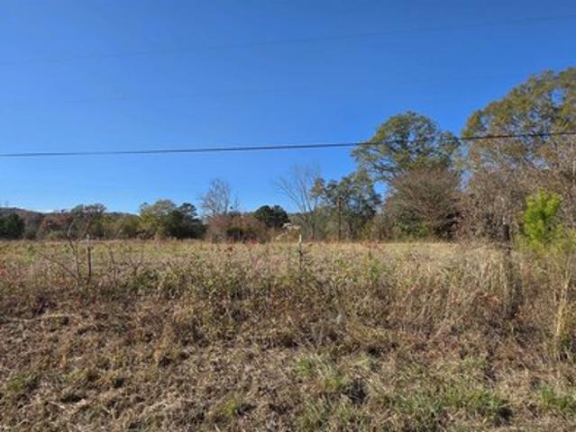 Land for sale in Ohatchee, Alabama