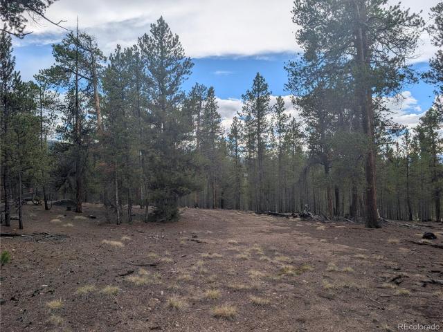 Land for sale in Twin Lakes, Colorado