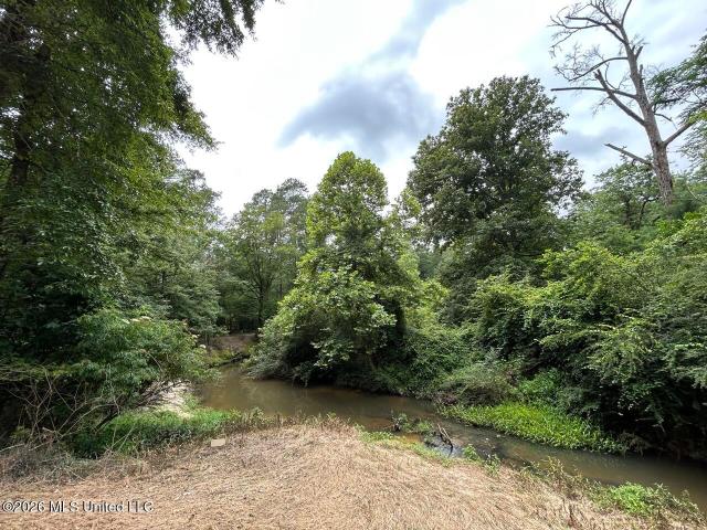 Land for sale in Osyka, Mississippi
