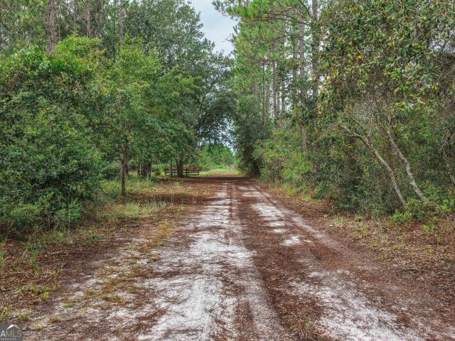 Land for sale in Saint George, Georgia