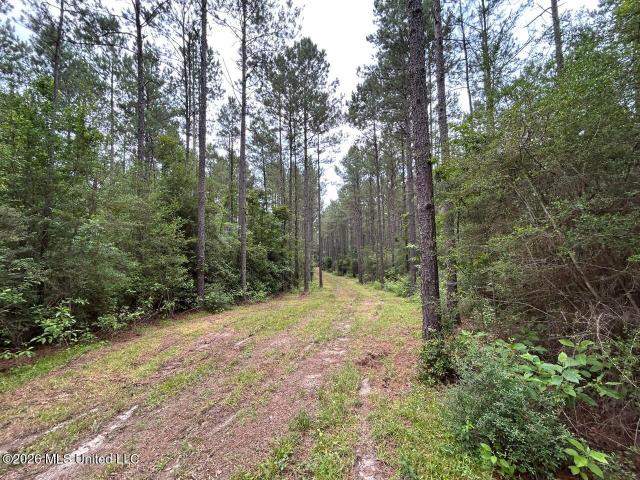Land for sale in Osyka, Mississippi