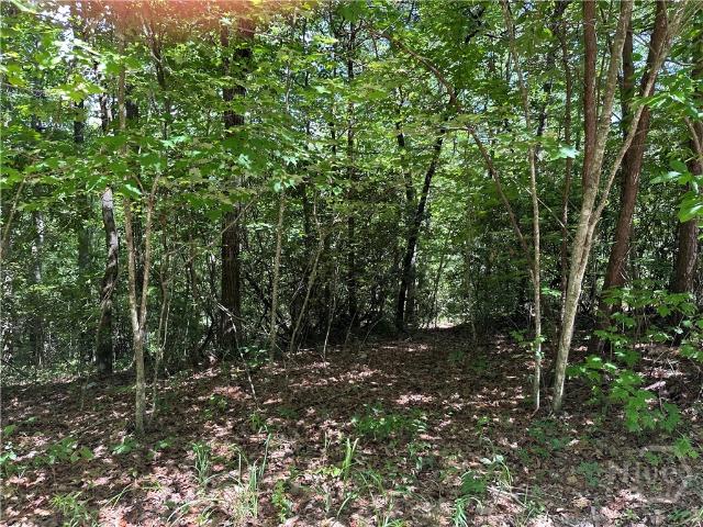 Land for sale in Georgia