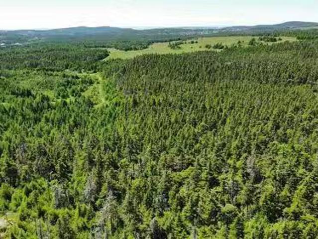 House for sale in Bauline, Newfoundland And Labrador