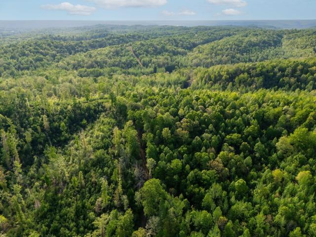 Farm for sale in Lobelville, Middle Tennessee
