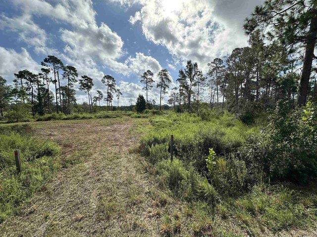 Land for sale in Kountze, Texas
