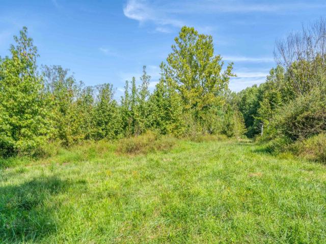 Land for sale in Newtonville, Grandview
