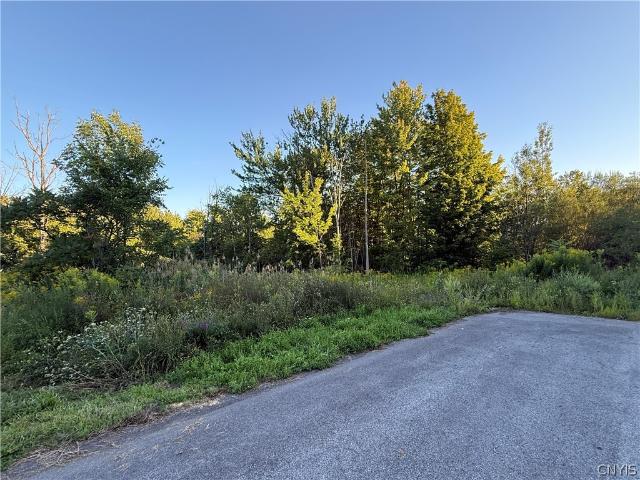 Land for sale in Oneida, New York