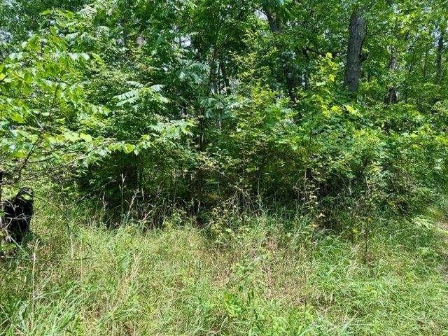 Land for sale in Filion, Michigan
