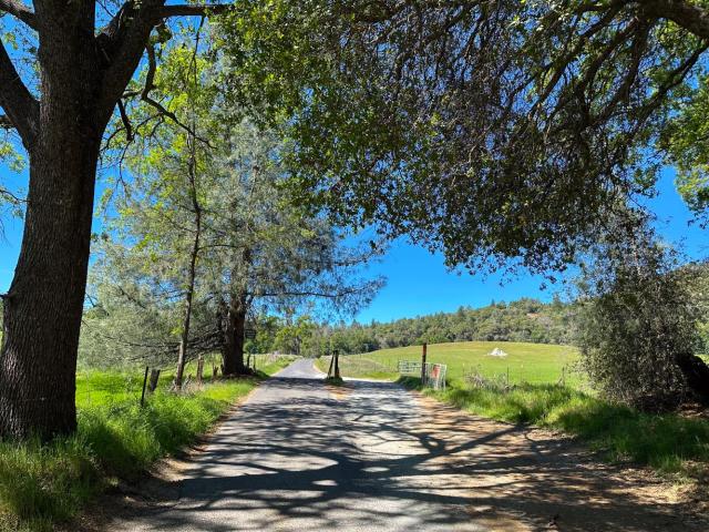 Land for sale in Murphys, California