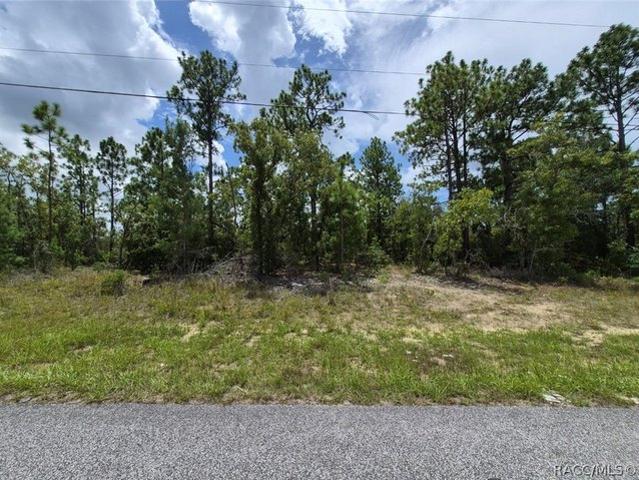 Land for sale in Florida