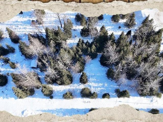 Land for sale in Ninilchik