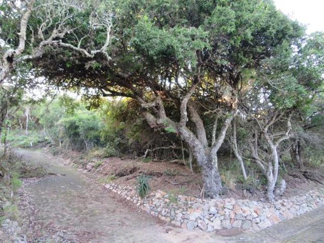 Land for sale in Port Alfred, Ndlambe Local Municipality