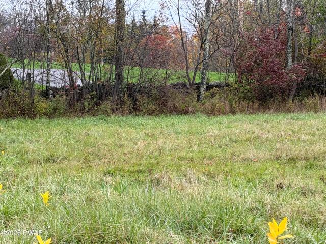 Land for sale in Berlin Township, Wayne County