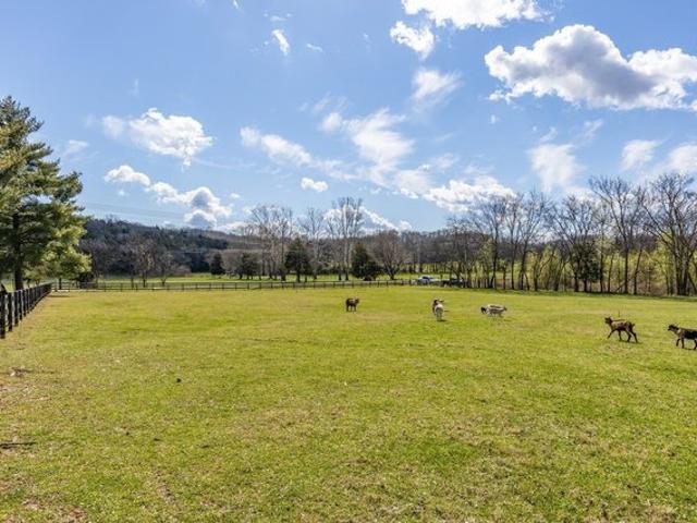 Land for sale in Tennessee