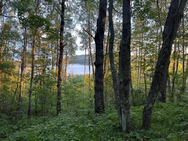 Land for sale in Biwabik, Minnesota