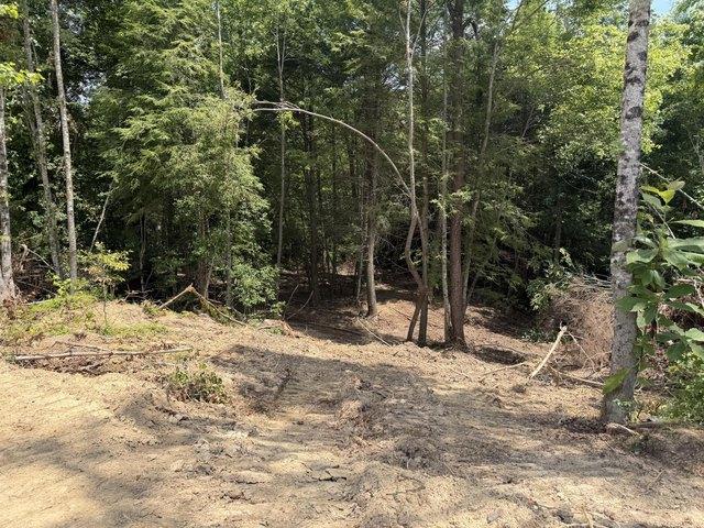 Land for sale in Williamsburg, Kentucky
