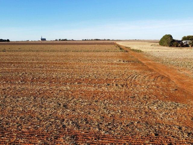 Land for sale in Ropesville, Hockley County