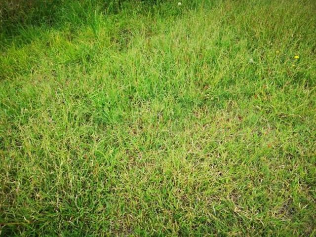 Land for sale in Mpumalanga