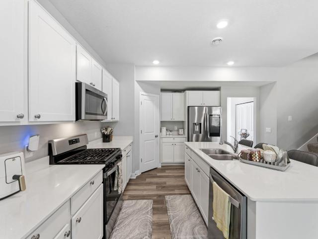 House for sale in Cottage Grove, Minnesota