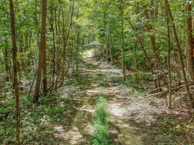 Land for sale in Tennessee