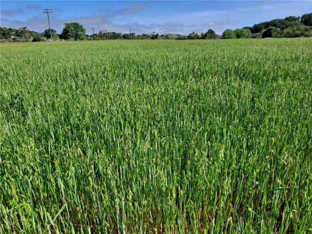 Land for sale in Creston, California