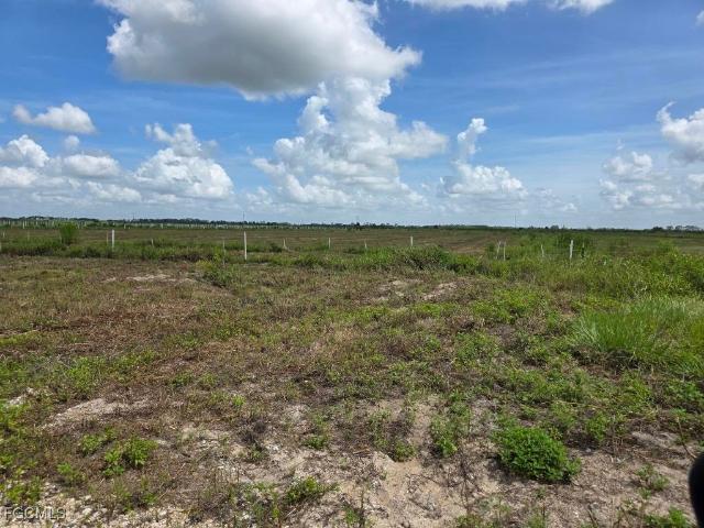 Land for sale in Labelle, Florida