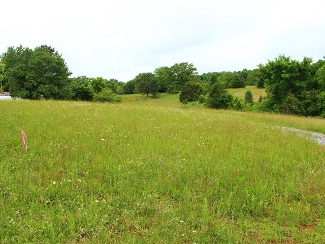 Land for sale in Adolphus