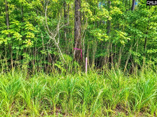 Land for sale in Prosperity, Newberry County