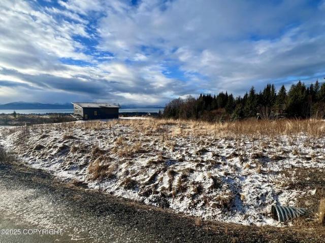 Land for sale in Homer