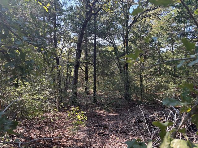 Farm for sale in Paige, Texas
