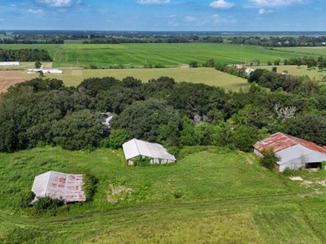Farm for sale in Rayne, Acadia Parish