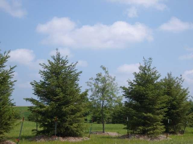 Land for sale in De Forest, Wisconsin