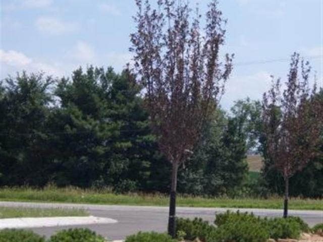 Land for sale in De Forest, Wisconsin
