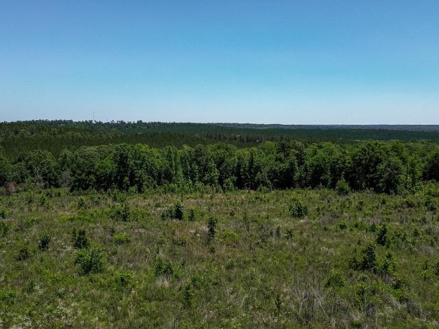 Land for sale in Stewart, Georgia