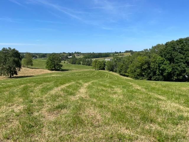 Land for sale in Cynthiana, Kentucky