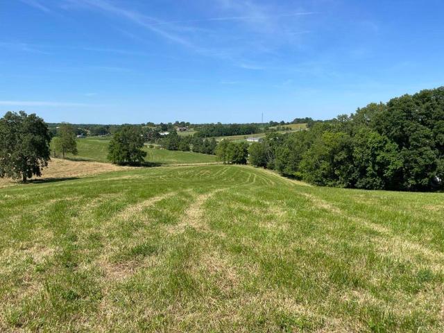 Land for sale in Cynthiana, Kentucky