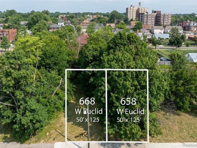 Land for sale in Detroit, Michigan
