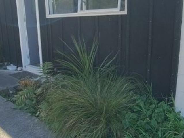 Apartment for rent in Coromandel, Thames-Coromandel District