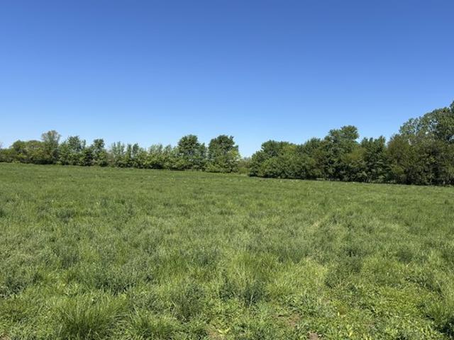 Land for sale in Clayton, Indiana