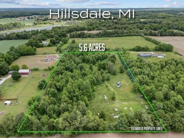 Land for sale in Hillsdale, Michigan