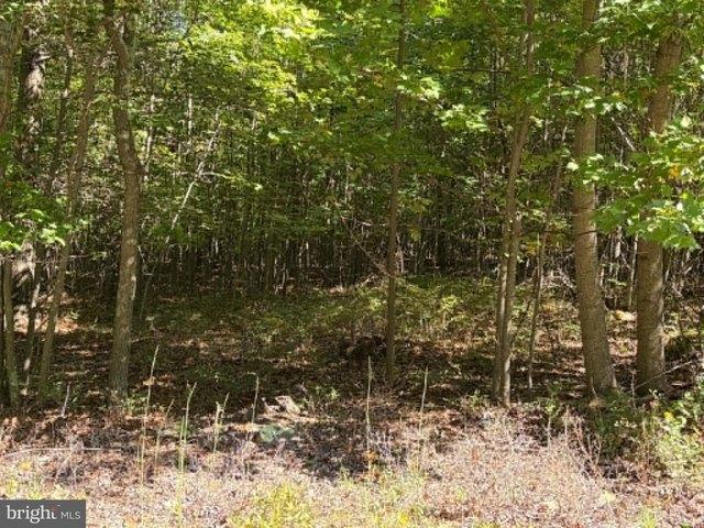 Land for sale in High View, Hampshire County