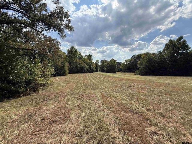 Land for sale in Rusk, Texas