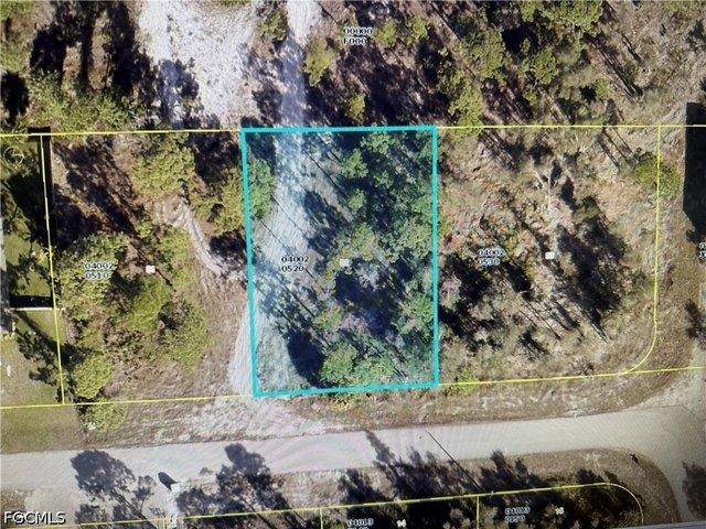 Land for sale in Lehigh Acres, Florida