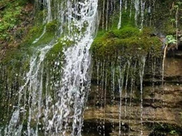 Land for sale in Tennessee