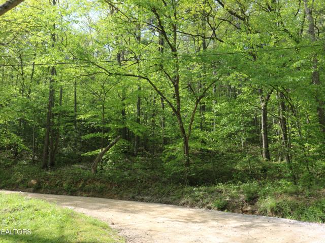 Land for sale in Huntsville, East Tennessee