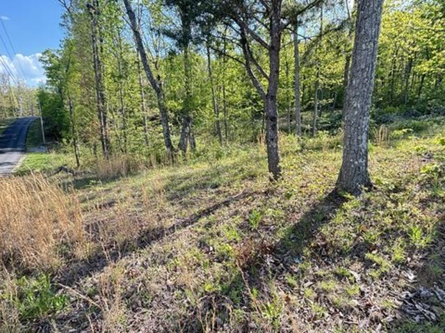 Land for sale in Tennessee