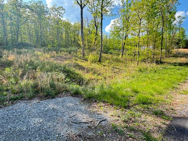 Land for sale in Tennessee