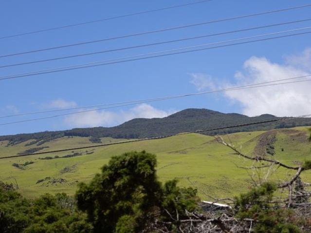 Land for sale in Waimea/Kamuela, Hawaiʻi County